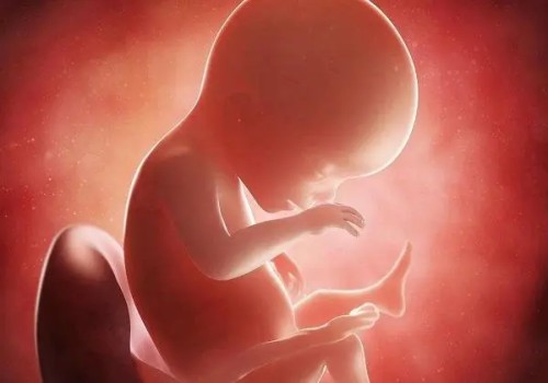 还不知道试管移植后为什么打立生素的看过来，三分钟为你讲清