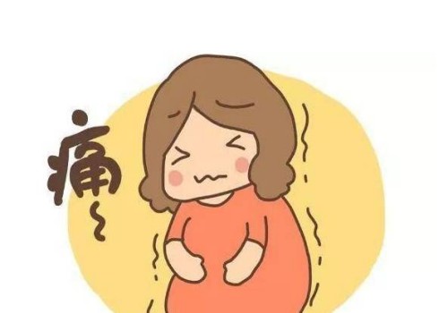 移植两个冷冻胚胎不一定都能成功，可通过生双胞胎几率